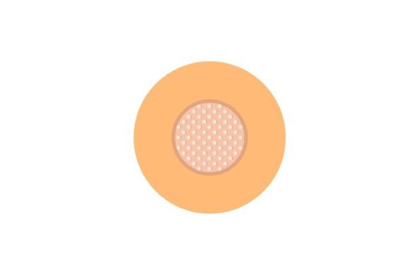 Medical Band-aid. Antiseptic Band-aid Graphics